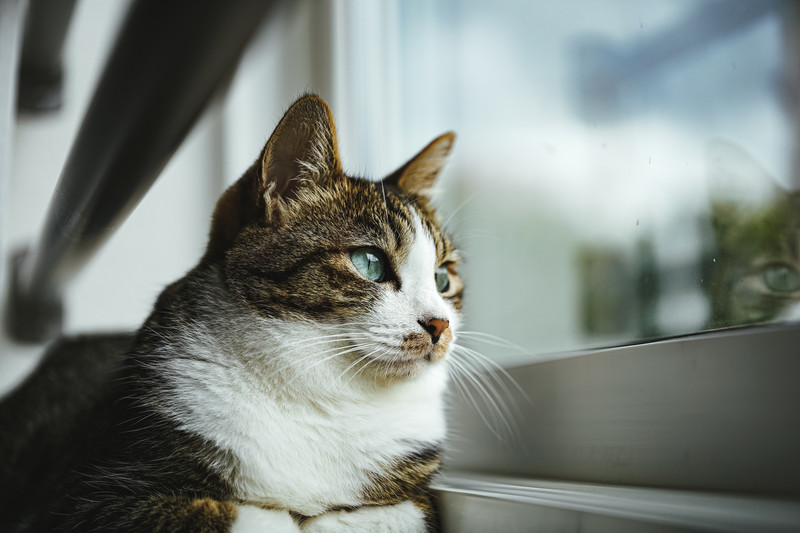 土木工事テスト投稿4