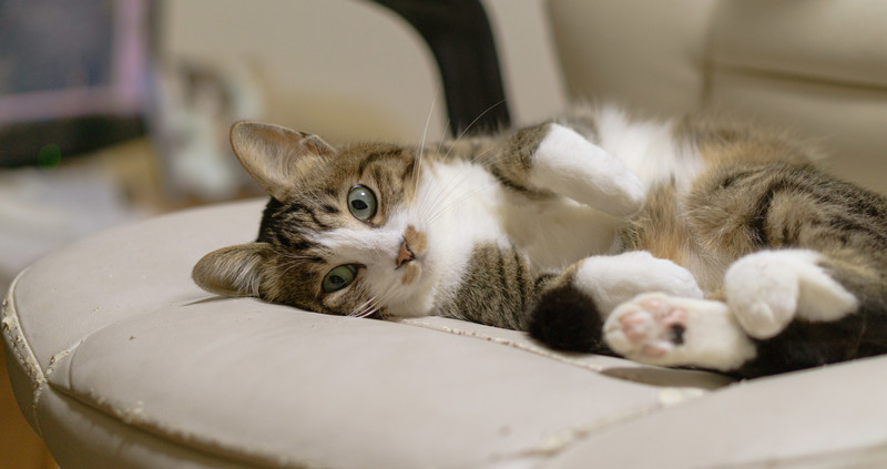 建築工事テスト投稿1