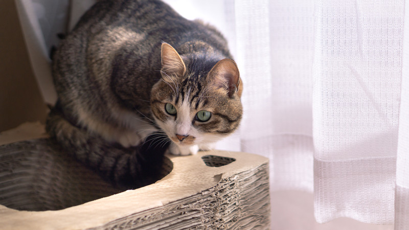 舗装工事テスト投稿1